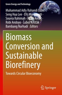 Enlarge image Cover: Biomass Conversion and Sustainable Biorefinery - Springer