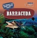 Cover: 20 Things You Didn't Know about Barracuda - PowerKids Press