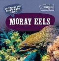 Cover: 20 Things You Didn't Know about Moray Eels - PowerKids Press