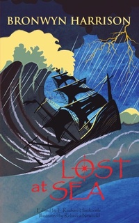 Enlarge image Cover: Lost At Sea - Curious Cat Books