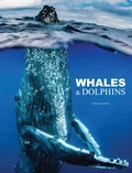 Cover: Whales & Dolphins - Amber Books