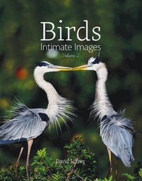 Enlarge image Cover: Birds - Orange Frazer Press