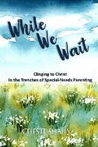 Enlarge image Cover: While We Wait - Celeste Shally