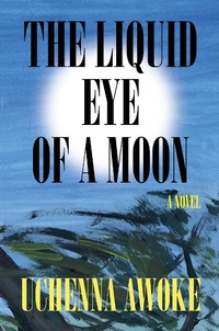 Abbildung von: The Liquid Eye of a Moon - Catapult