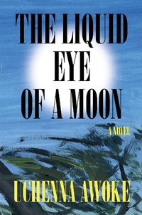 Abbildung von: The Liquid Eye of a Moon - Catapult