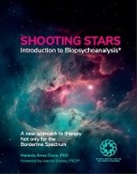 Abbildung von: SHOOTING STARS. Introduction to Biopsychoanalysis - Independent Publishing Network