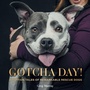 Cover: Gotcha Day! - Simon + Schuster LLC