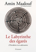 Cover: Le labyrinthe des &eacute;gar&eacute;s - Grasset