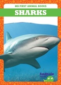 Cover: Sharks - Tadpole Books