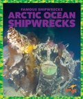 Cover: Arctic Ocean Shipwrecks - Pogo Books