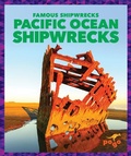 Cover: Pacific Ocean Shipwrecks - Pogo Books