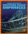 Cover: Southern Ocean Shipwrecks - Pogo Books