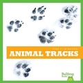 Cover: Animal Tracks - Bullfrog Books