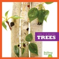 Cover: Trees - Bullfrog Books