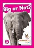 Cover: Big or Not? - Decodables by Jump!