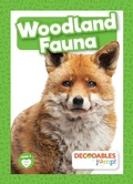 Cover: Woodland Fauna - Decodables by Jump!
