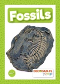 Cover: Fossils - Decodables by Jump!