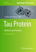 Bild: Tau Protein - Humana