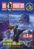Cover: Dr. Morton 117: Schreie in der Nacht - Romantruhe