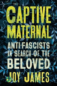 Enlarge image Cover: The Captive Maternal - Pluto Press