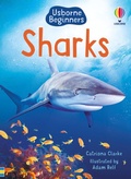 Cover: Sharks (Usborne Beginners) - Usborne Publishing Ltd