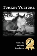 Cover: Turkey Vulture - Meadowlark Poetry Press
