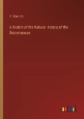 Cover: A Sketch of the Natural History of the Diatomaceae - Outlook Verlag
