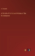 Cover: A Sketch of the Natural History of the Diatomaceae - Outlook Verlag
