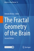 Abbildung von: The Fractal Geometry of the Brain - Springer