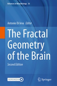 Abbildung von: The Fractal Geometry of the Brain - Springer