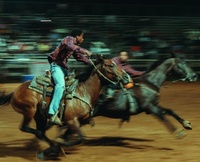 Abbildung von: Eight Seconds: Black Rodeo Culture - Damiani