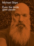 Cover: Michael Stipe: Even the birds gave pause - Damiani