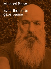 Abbildung von: Michael Stipe: Even the birds gave pause - Damiani