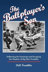 Abbildung von: The Ballplayer's Son - Summer Game Books