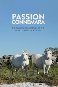 Abbildung von: Passion Connemara - Potential Architecture Books