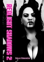 Cover: Red light shadows 2 - tredition