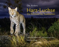 Abbildung von: Harz-Luchse Die Rückkehr der Raubkatzen - Mitzkat, Jörg