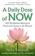 Cover: A Daily Dose of Now: 365 Mindfulness Meditation Practices for Living in the Moment - Mind, Mood, and Movement