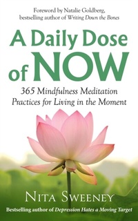 Abbildung von: A Daily Dose of Now: 365 Mindfulness Meditation Practices for Living in the Moment - Mind, Mood, and Movement