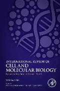 Cover: Epigenetic Regulation of Cancer - Part B: Volume 383 - Academic Press
