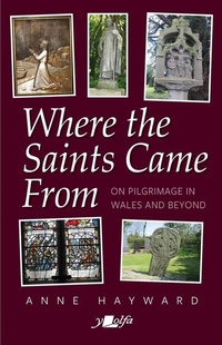 Abbildung von: Where the Saints Came From - Y Lolfa