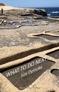 Cover: What To Do Next - Shoestring Press