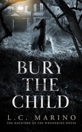 Cover: Bury The Child - Marino Consulting Services, LLC