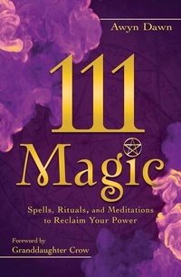 Enlarge image Cover: 111 Magic - Llewellyn Publications,U.S.
