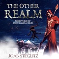 Cover: The Other Realm (The Utgarda Series, #3) - Joab Stieglitz