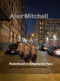 Cover: Robinhood at Shepherds Pass - Alex Mitchell