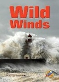 Cover: Wild Winds - Rainbow Reading Programme