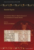 Cover: Salmuta Sapirta - Gorgias Press