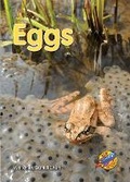 Cover: Eggs - Rainbow Reading Programme