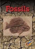 Cover: Fossils - Rainbow Reading Programme